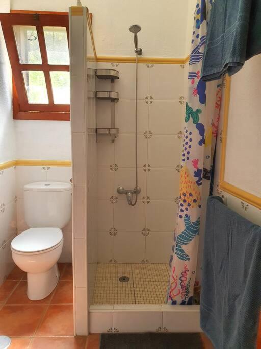 Casamamáclorinda El Hierro Islas Canarias Casa vacanze *